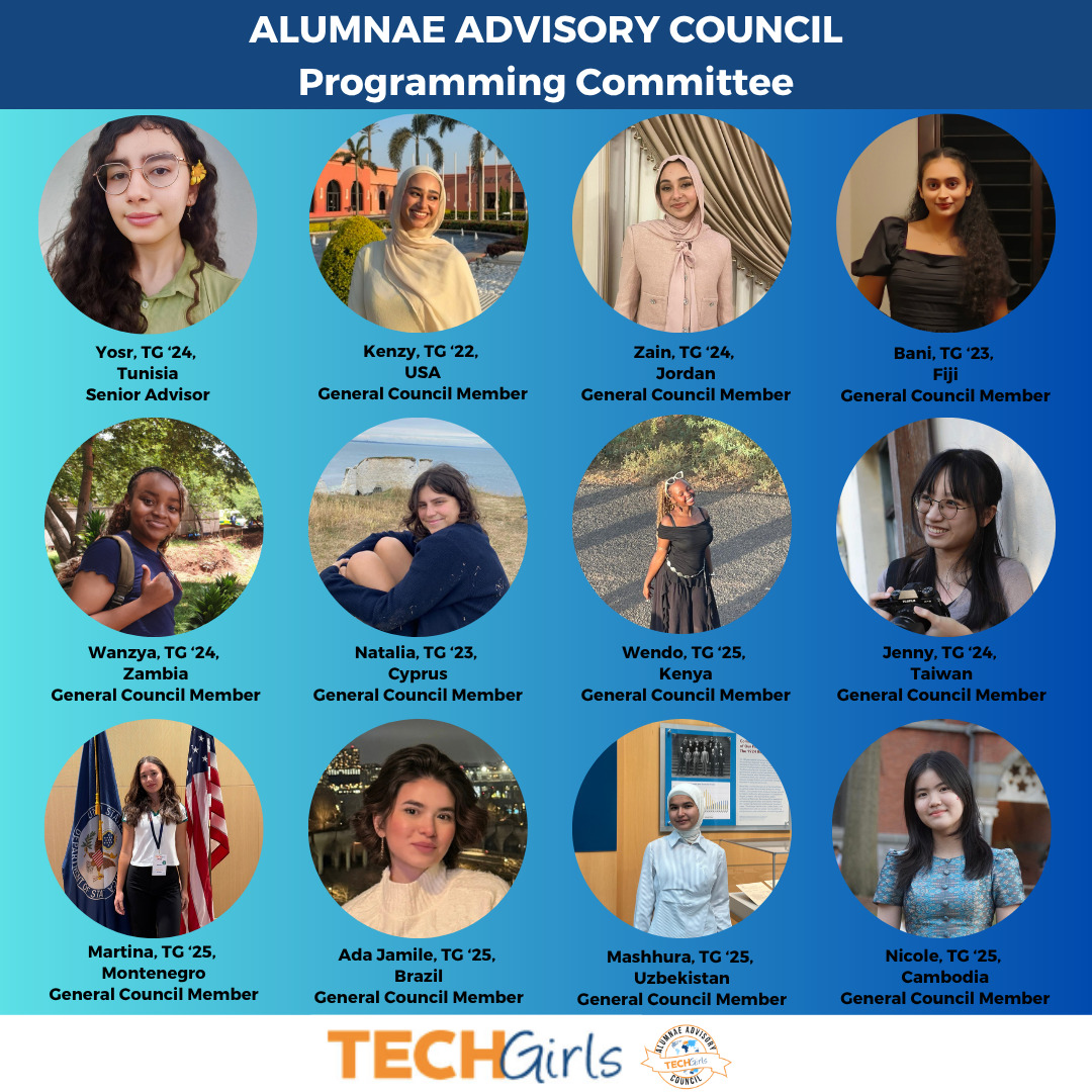 Programming committee